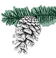 Pine Cone green.jpg