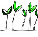 Cleaned crp Green Shoots.jpg