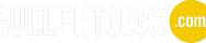 logo_guelphtoday_yellow_201x40_edited.png