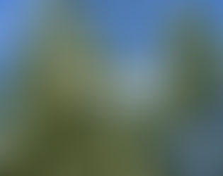 A Extração: onde o tempo e o cuidado se transformam em azeite de excelência