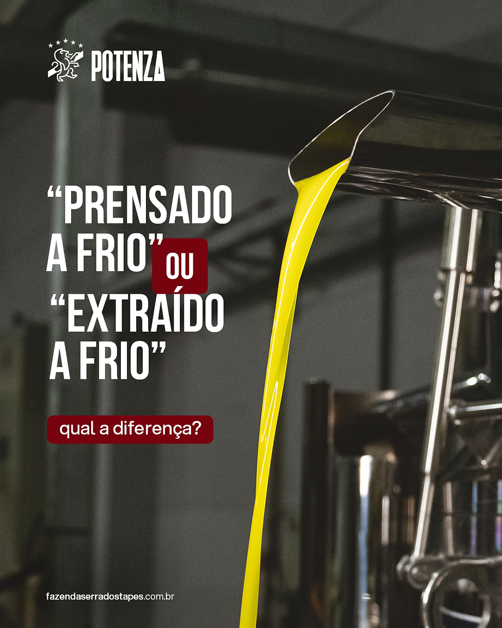 “Prensado a frio” ou “extraído a frio”? Entenda o que realmente importa no azeite de qualidade