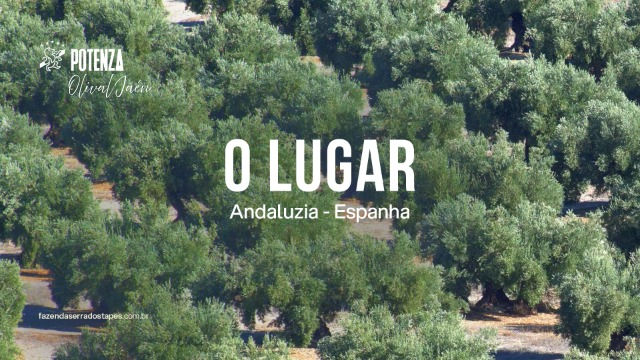 Potenza Olival Jaén: um azeite brasileiro nascido no berço do melhor azeite do mundo