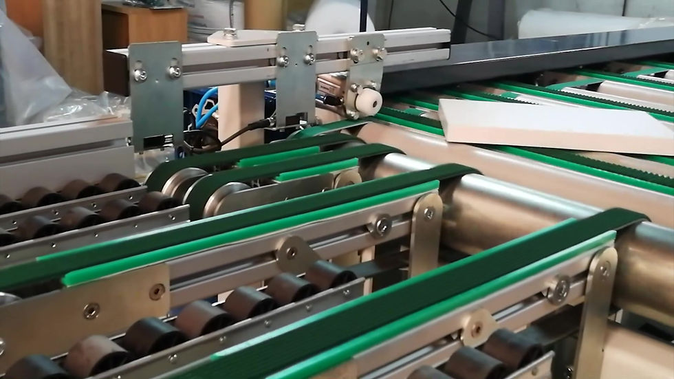 Miniatura: Edgebander return conveyor Edgebander return system