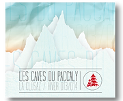 MUSIC CD SOUND DJ PLAYLIST CHARLES SCHILLING MONTAGNE SNOW MOUNTAIN HOLIDAYS SKI PACKAGING DESIGN © Chloé Senget 2014