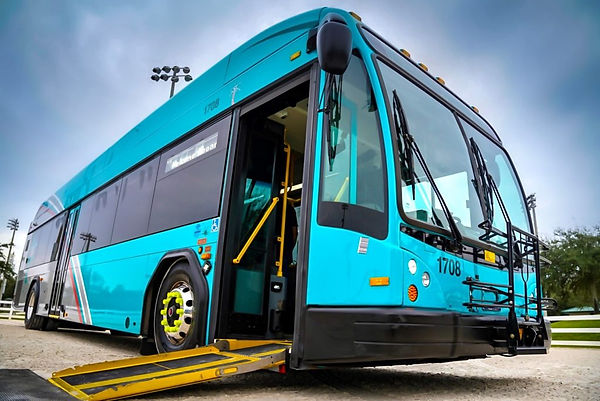 PALM Trans discounts