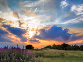 Golden Moments...