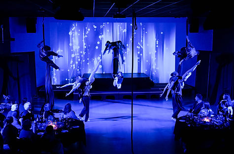 Silhouette Pro Entertainment Aerial