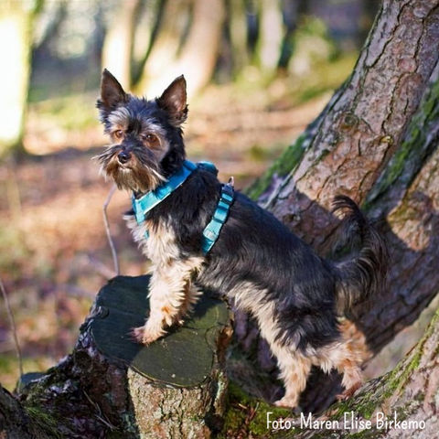 Skjermbilde 2021-09-27 kl. 18.13_edited.jpg