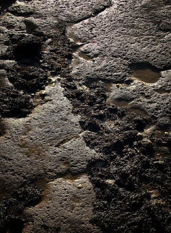 01_AT LOW TIDE_Ron Hart
