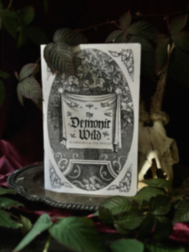 The Demonic Wild: Ecophobia & The Witch