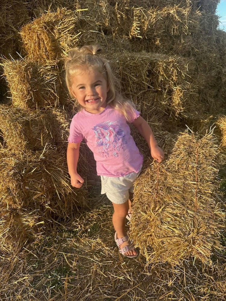 Small Straw Bale