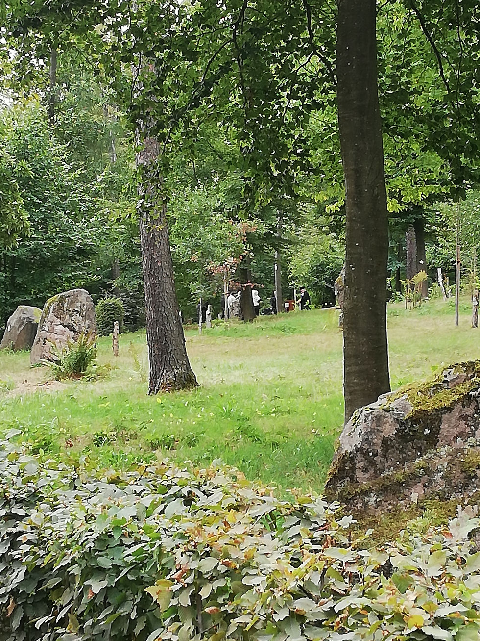 La presse parle des Forêts Sanctuaires