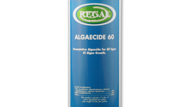 Everclear Poly 60 Algeacide 1qt