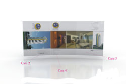 despiexe cara interior brochure