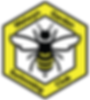 WGSCLOGOfullcolour.png