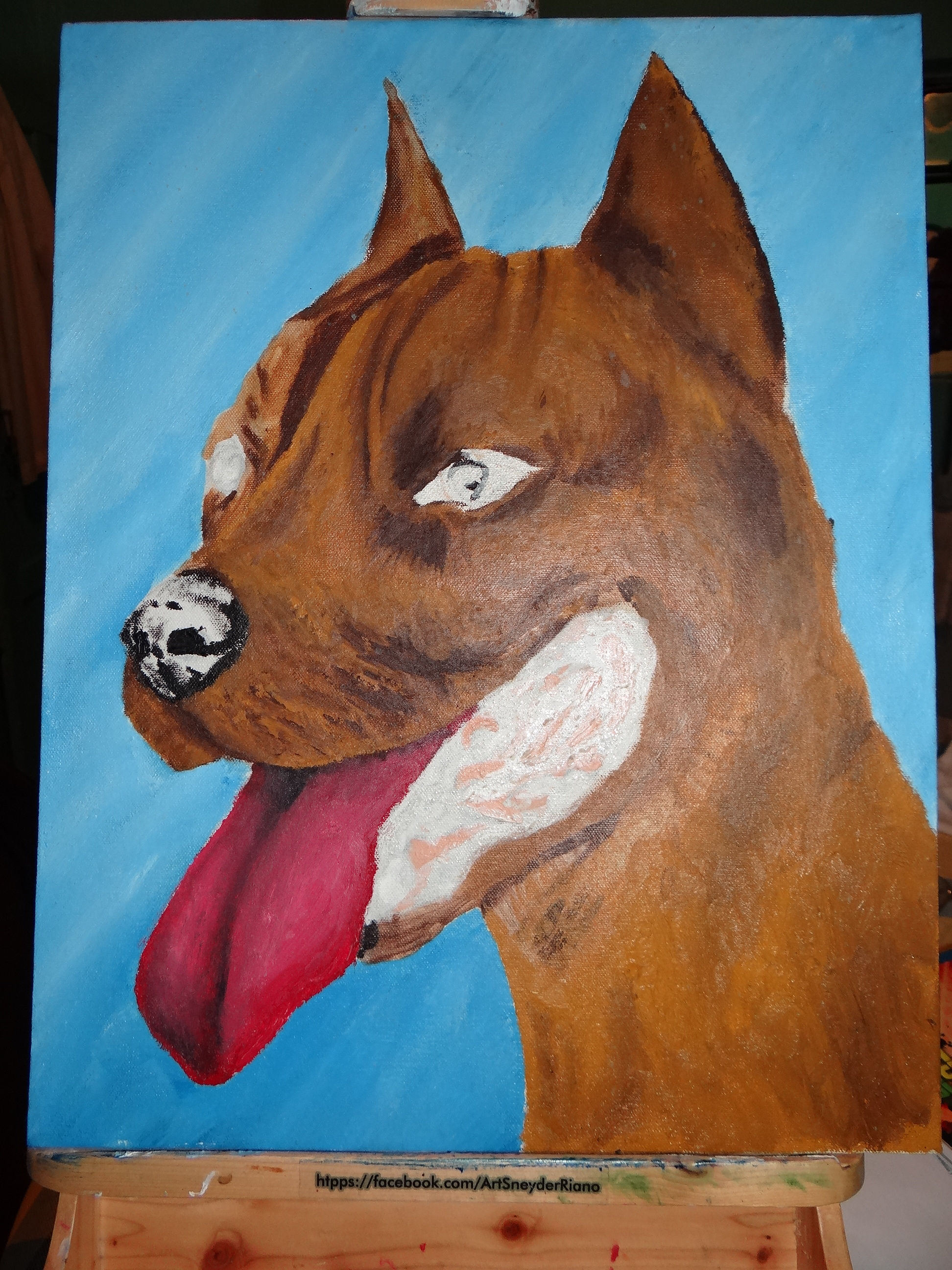 The wonder dog