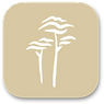 LOGO +++.png