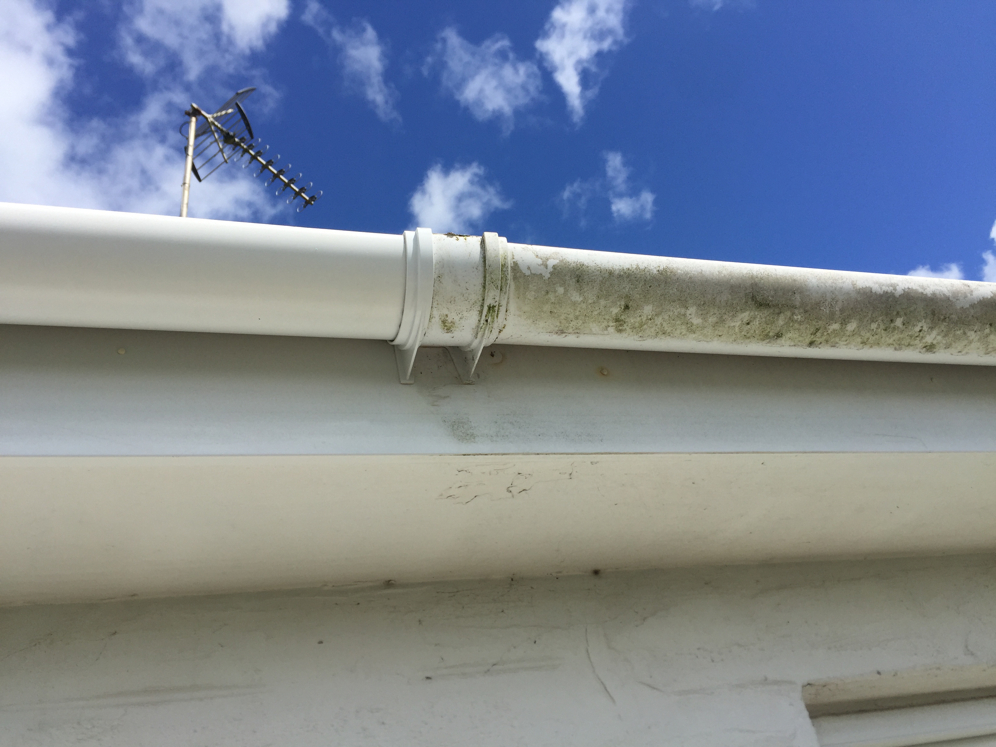 Gutter cleaning