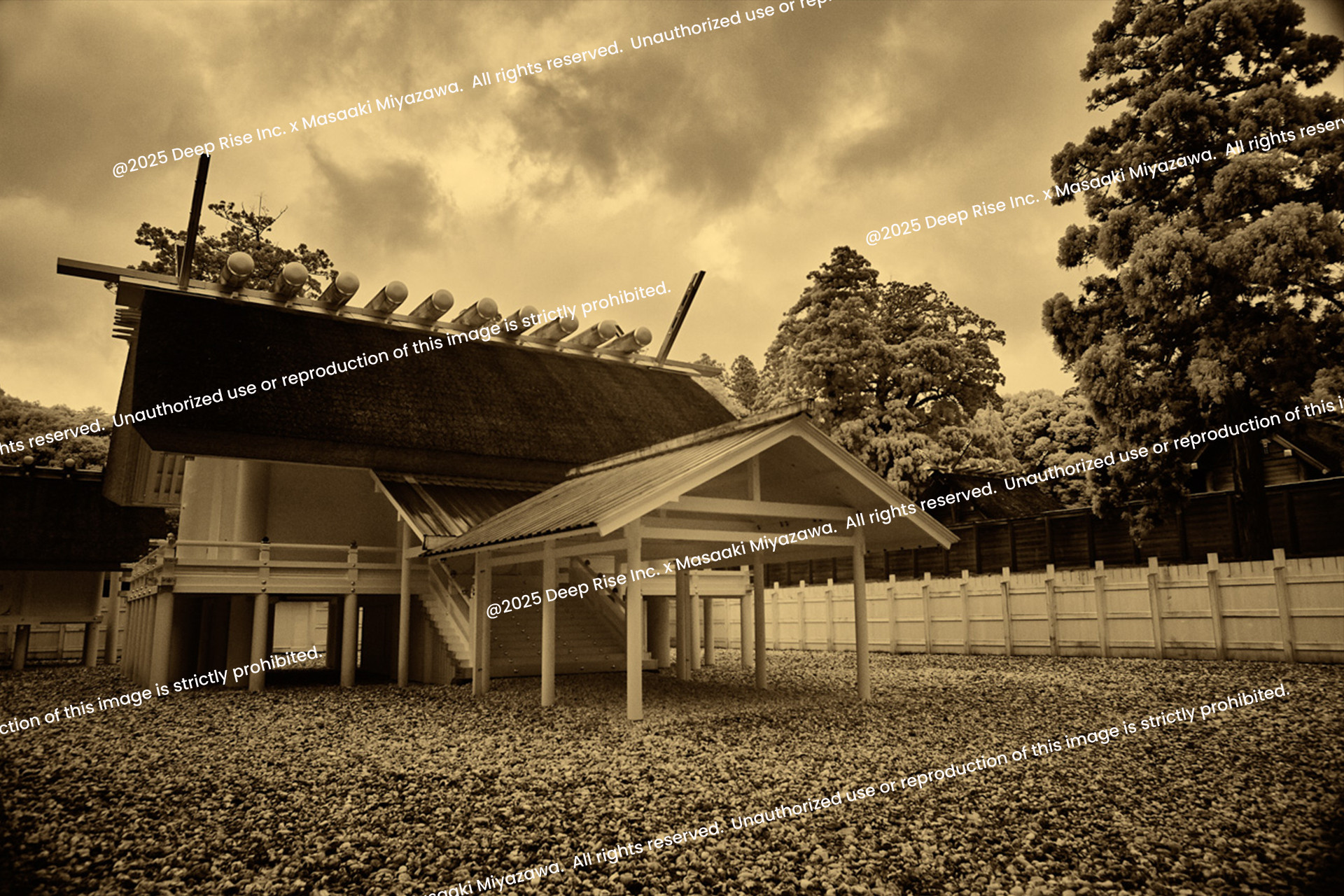 伊勢神宮《Ise Jingu》 | ​宮澤正明オフィシャル