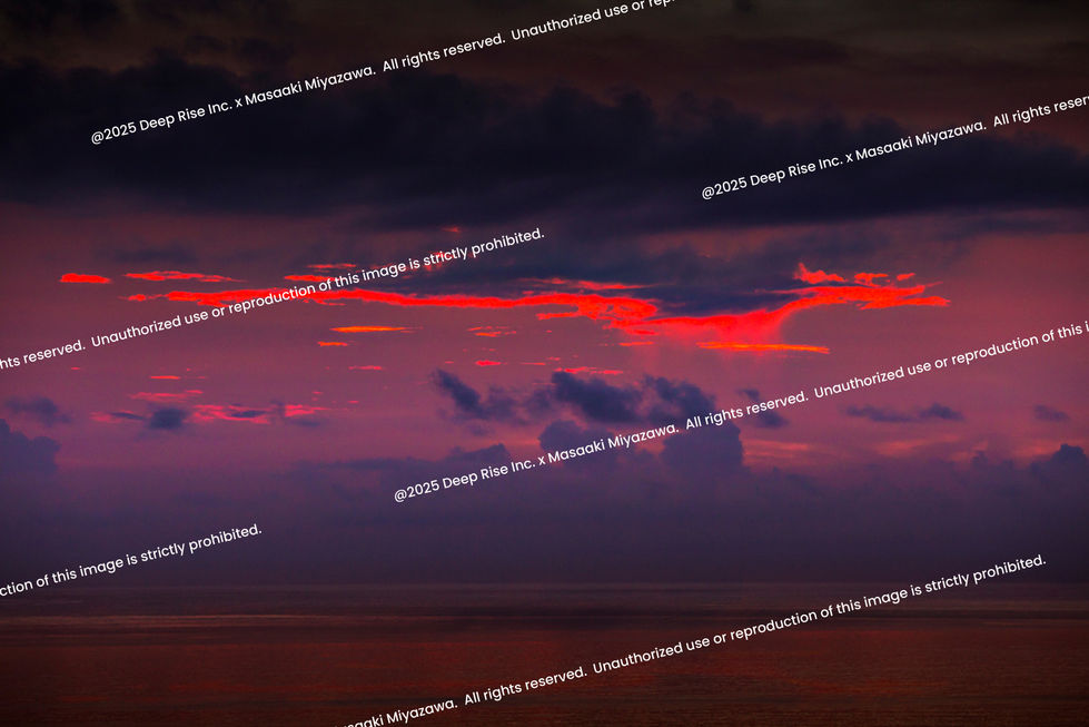 レッドドラゴン《Red Dragon》