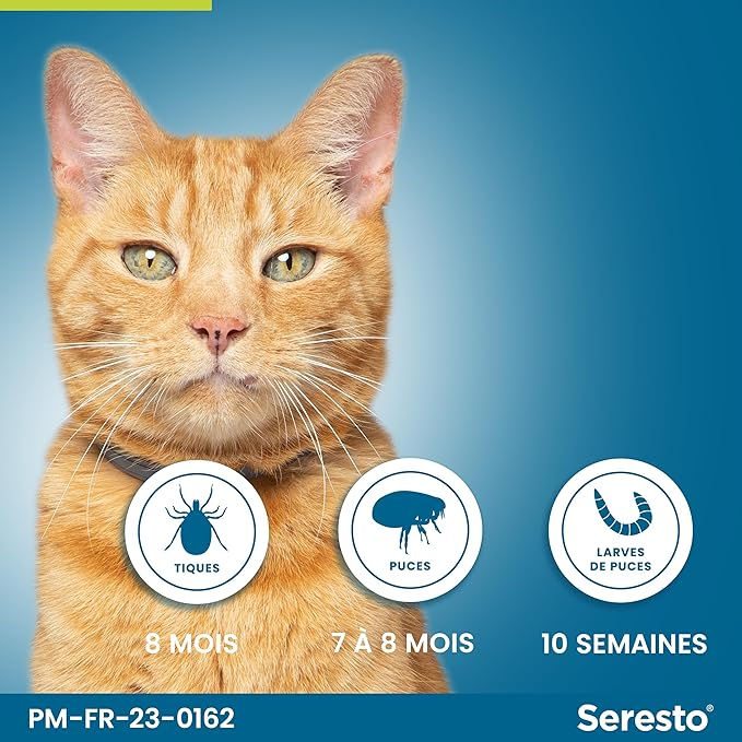 Miniature : Seresto Collier Chat