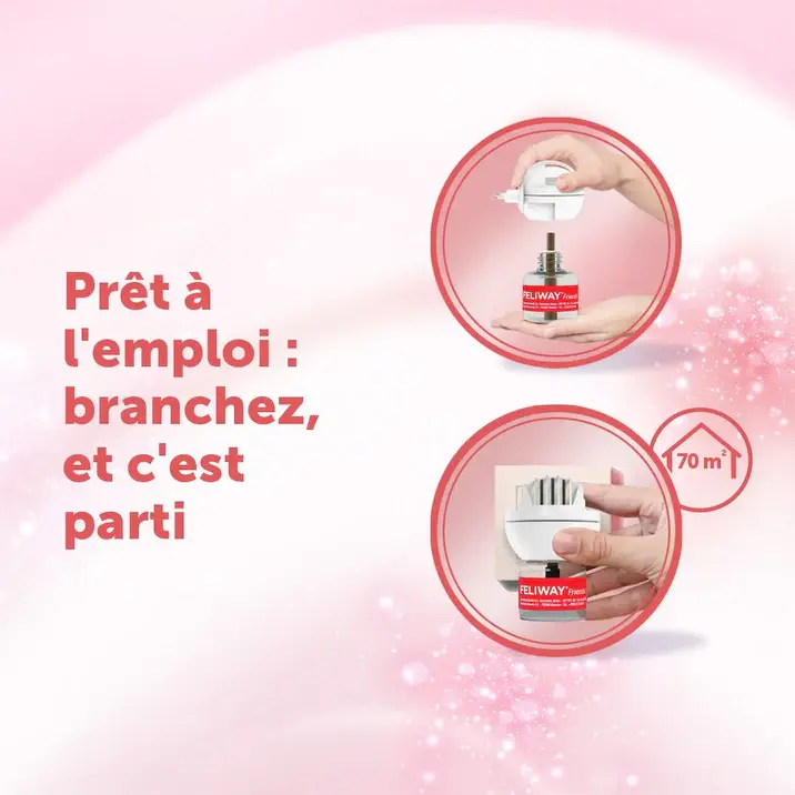 Miniature : Feliway Friends Diffuseur