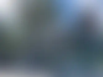 2 Children Killed, 17 Injured in Shooting at Minneapolis Catholic School Mass