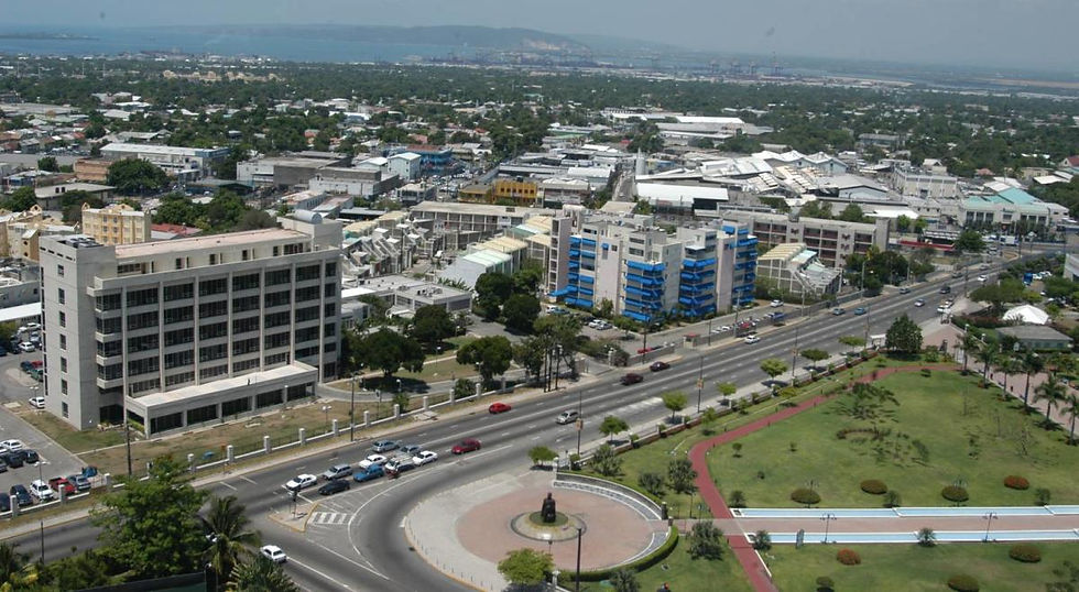 Panoramic cityscape of Kingston, Jamaica, from a hilltop vantage.
