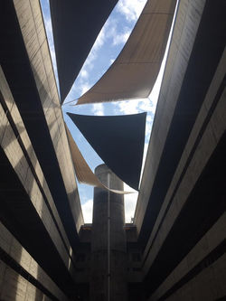 15178950_10207836484171983_2307670025460308429_n