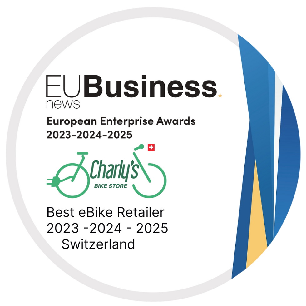 Logo EU Business blanc et AP transparent.png
