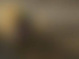 Wix Pro et support prioritaire : est-ce utile ?