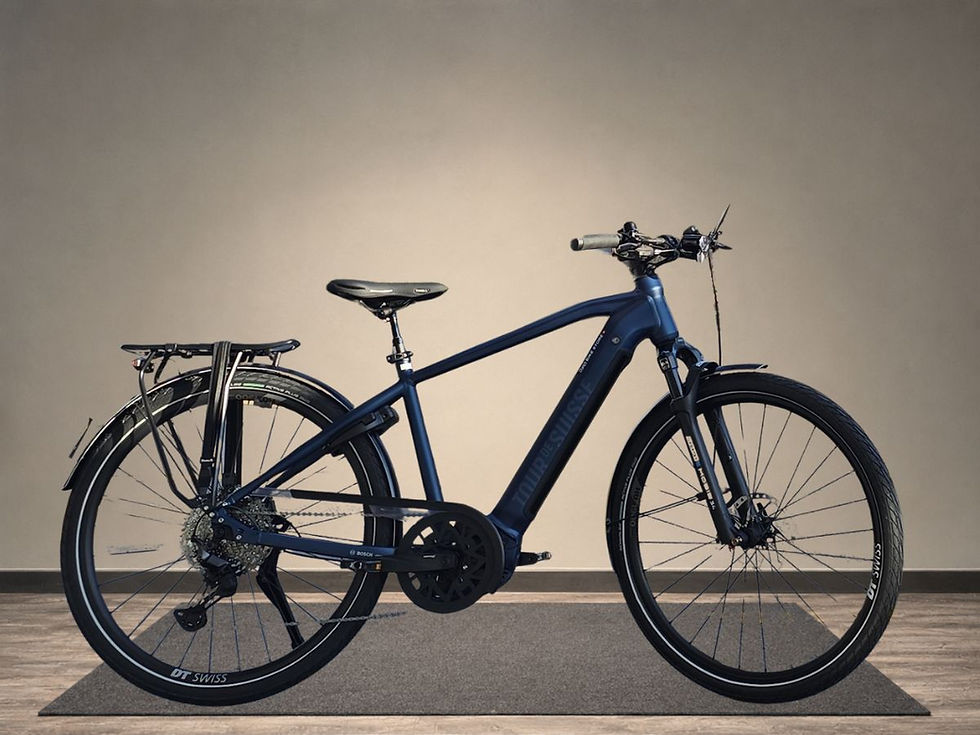 3485 Tour de Suisse Broadway 45 km/h Urban – 53 cm Bleu