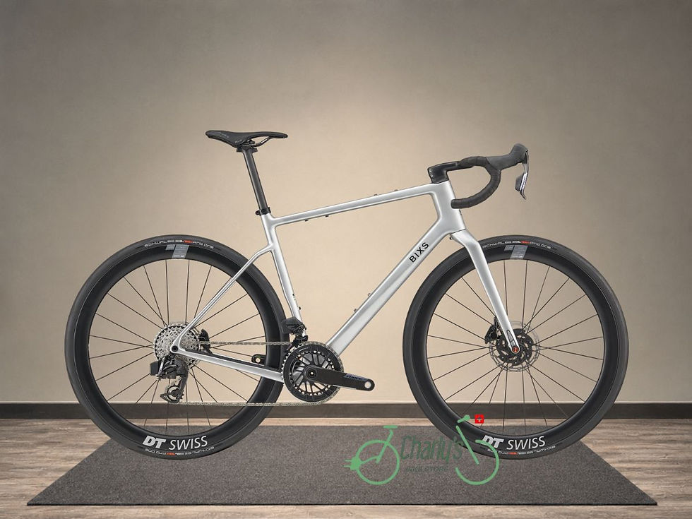 Vélo de route endurance BIXS Gran Turismo AR 1 en carbone argent métallisé