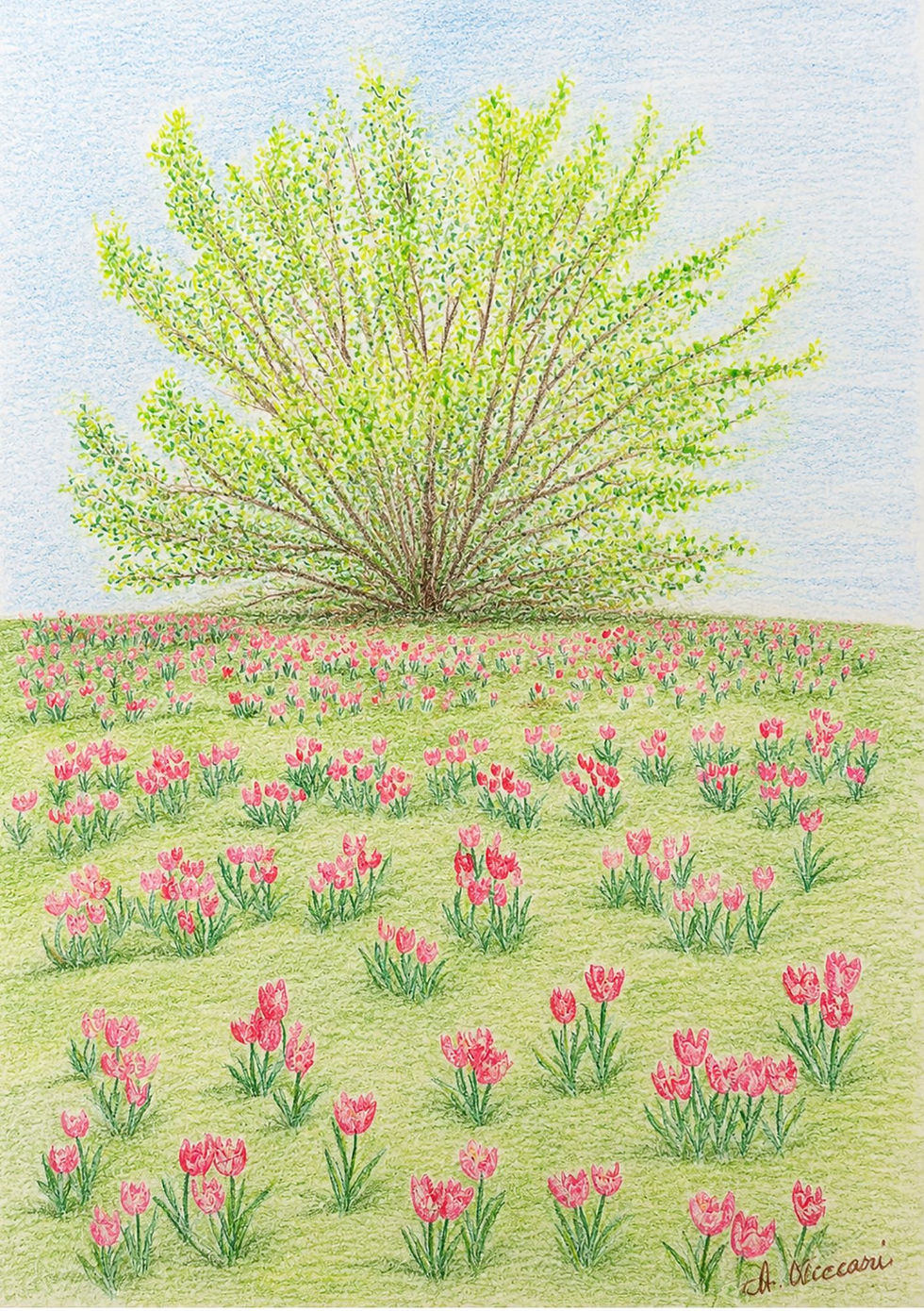 Champ de fleurs.jpg