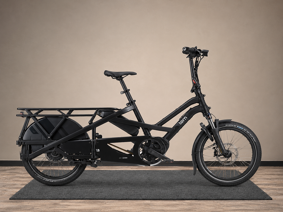 Tern GSD P00 noir