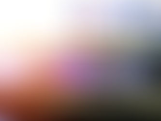 Quel forfait Wix pour une boutique en ligne rentable ?