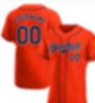 WHITNEY YOUNG AUTHENTIC BASEBALL JERSEY
