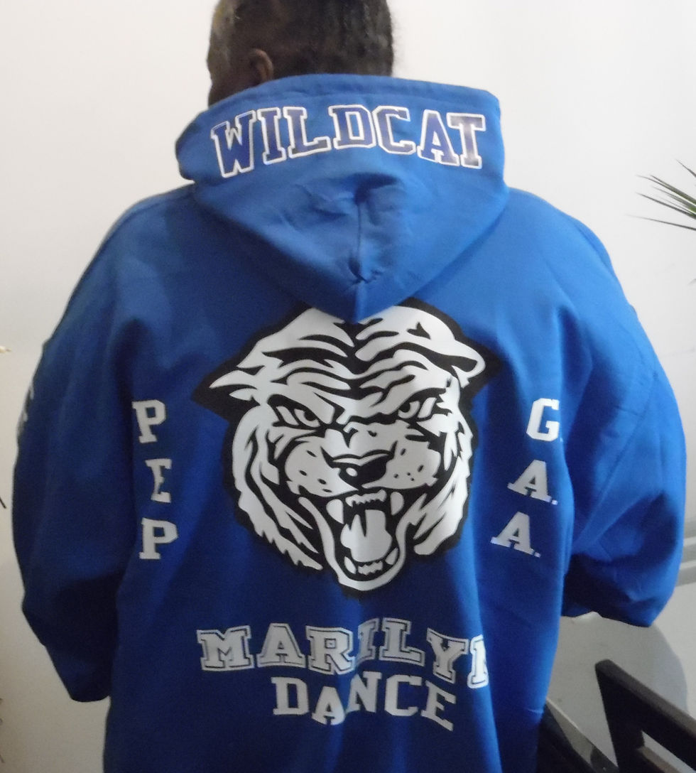 Thumbnail: PHILLIPS WILDCATS - HIGH SCHOOL HOODIE™