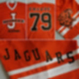 JULIAN JAGUARS - JERSEY CLASS T-SHIRT ™ (V-Neck)