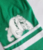 Thumbnail: SENN BULLDOGS - CLASS JERSEY T-SHIRT (V-NECK) ™
