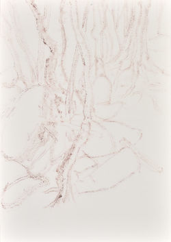 6. 무명의 숲, 화첩에 모필사생, 49x35cm, 2017_cut