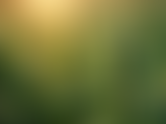 How Cannabis Became My Creative Muse and Inspired My Best Ideas