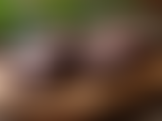 Artisan chocolate truffles displayed on rustic wooden board