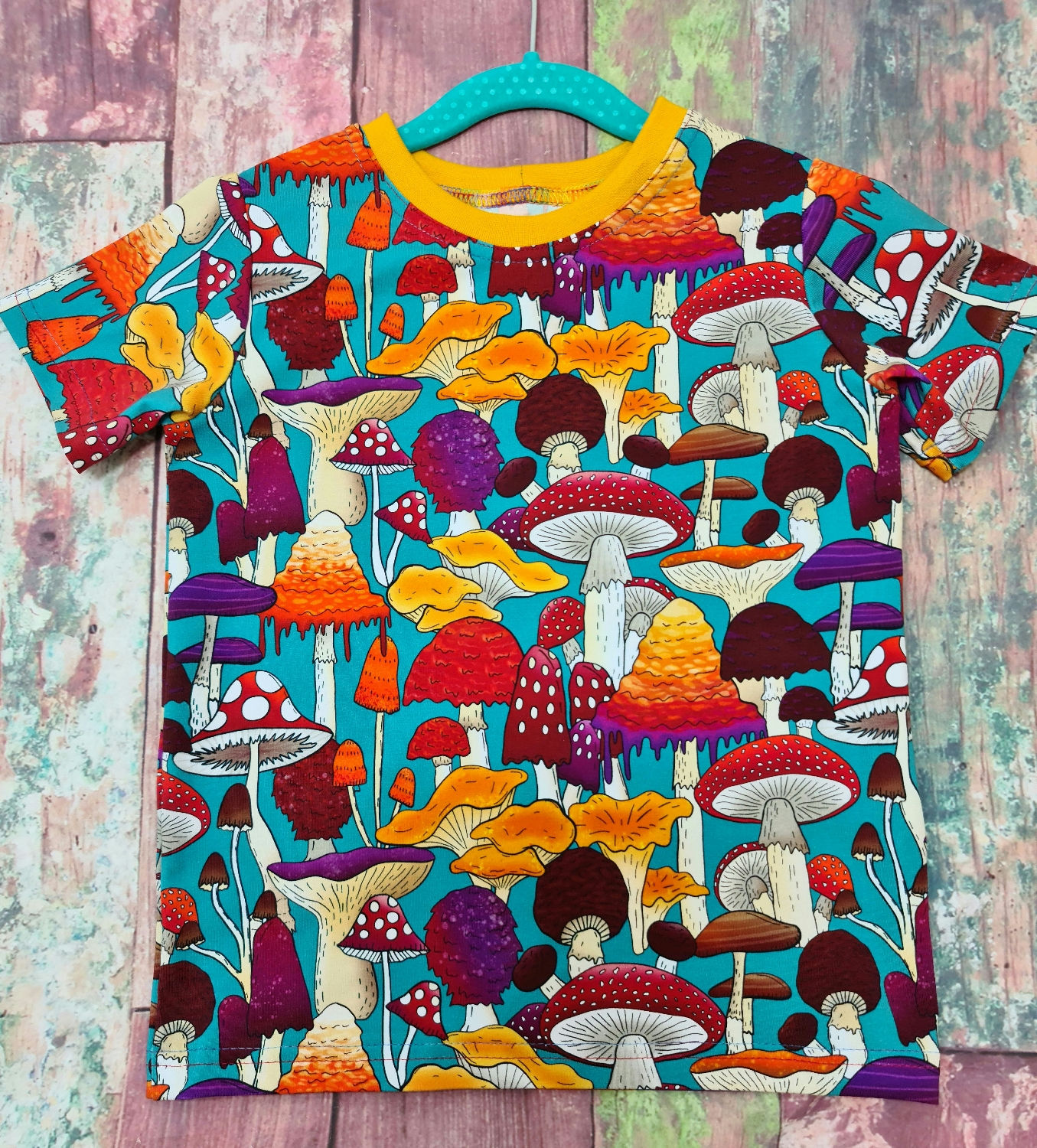 Toadstool T-shirt 4-5 years 