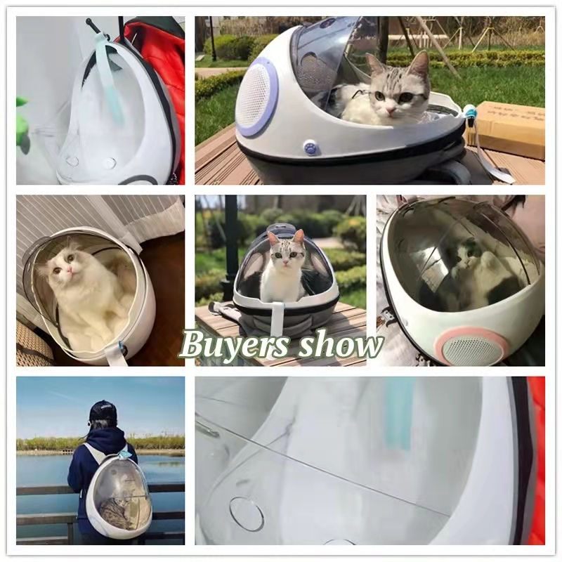 サムネイル： 猫がペットキャリアに入っています Buyers show 最高の景色 メンズ軽量ABCストレッチスリムフィットトラウザー 速乾通気性 ゴルフ対応
