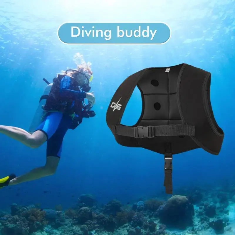 Thumbnail: "Diving buddy"と書かれた水中機器とスキューバダイバー。