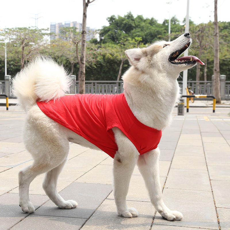 サムネイル： 赤い綿100%の犬服ベストTシャツを着た白い大型犬