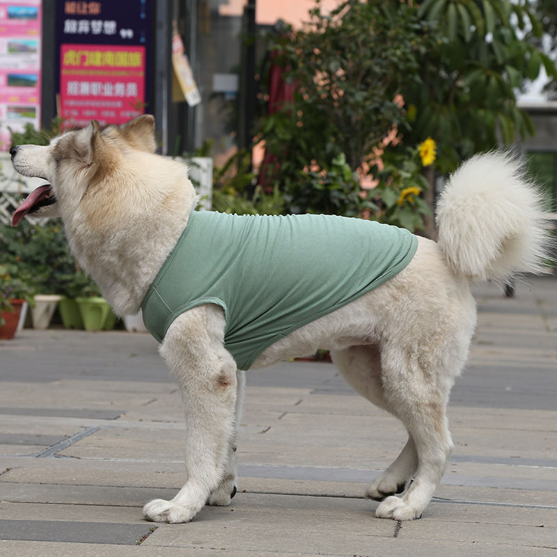 サムネイル： 綿100%の夏用犬服ベストTシャツを着用した大型犬
