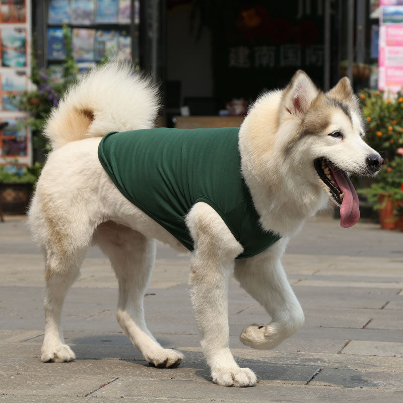 サムネイル： 深緑の綿100%犬服ベストTシャツを着て歩く大型犬
