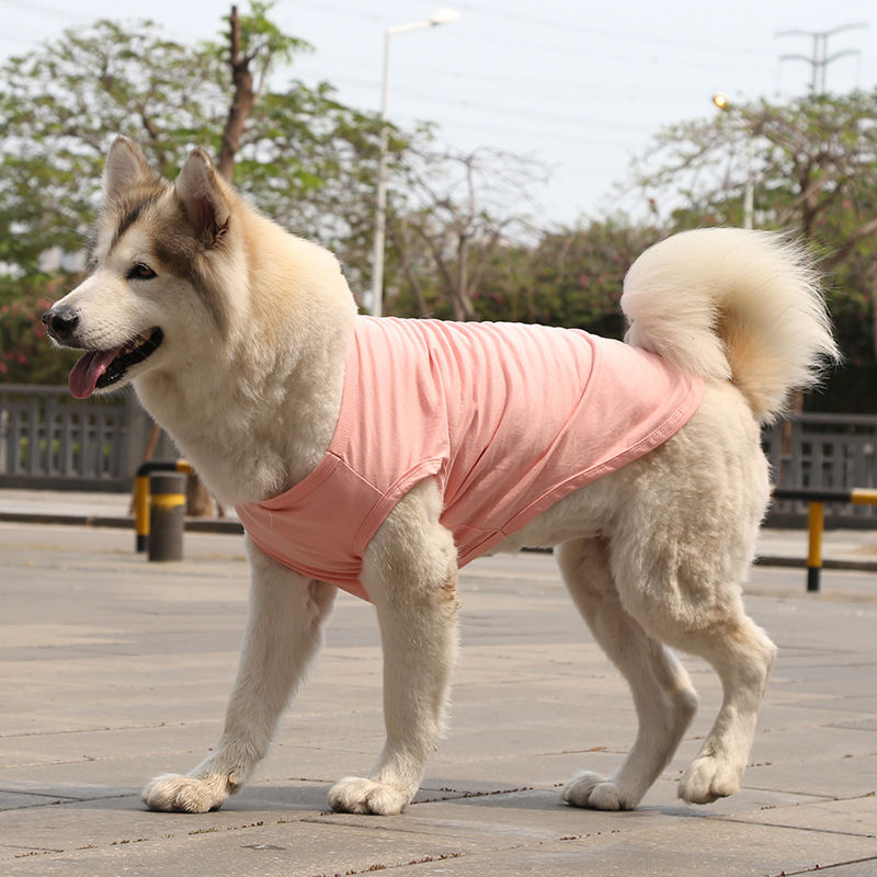 サムネイル： ピンクの綿100%夏用犬服ベストTシャツを着用した大型犬